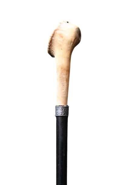 Walking stick with deer antler handle carved...