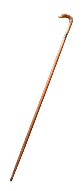 Walking stick with dog-head carved horn handle,...