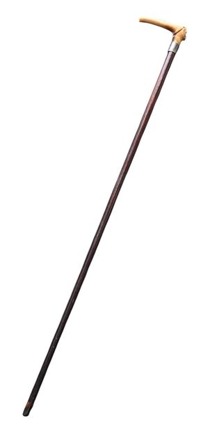 Carved deer antler cane with handle, late...