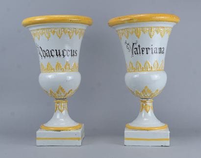 A pair of apothecary vases made of white...