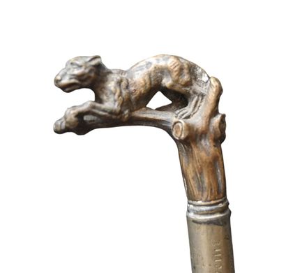 Walking stick with brass handle featuring...