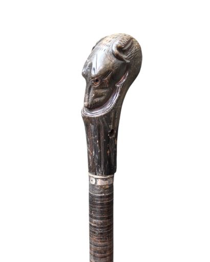 Cane with dog-head knob, late XIXᵉ - early...