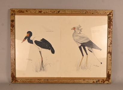Dessins d’oiseaux (2) – signés Chantal De...