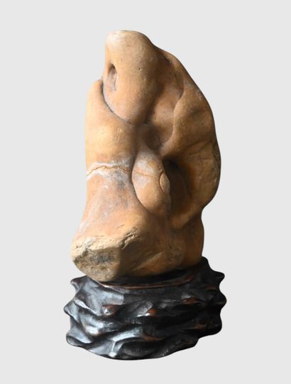 Pierre de rêve sur socle en bois

Pierre...