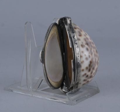 Tabatière en coquillage de porcelaine (Cypraea...