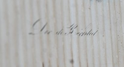 Vue lenticulaire Napoléon et duc de Reichstadt

Vue...