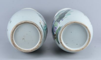 Paire de grands vases chinois en porcelaine...