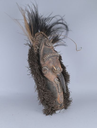 Masque Sepik à plumes, Papouasie-Nouvelle-Guinée

Masque...