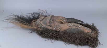Masque Sepik à plumes, Papouasie-Nouvelle-Guinée

Masque...