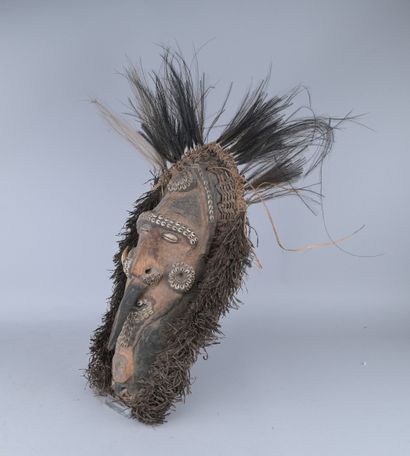 Masque Sepik à plumes, Papouasie-Nouvelle-Guinée

Masque...