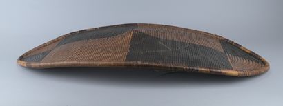 Fiber Shield from the Congo - Bandia/Nzakara...
