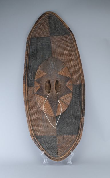 Fiber Shield from the Congo - Bandia/Nzakara...
