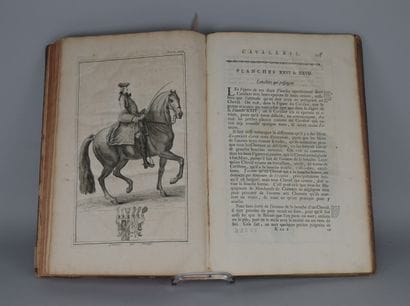 Saunier – The Art of Horsemanship – 1756

Gaspard...