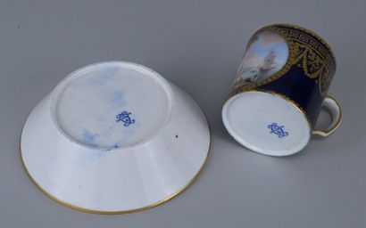 18th-Century Sèvres – Cup and Saucer, Louis...