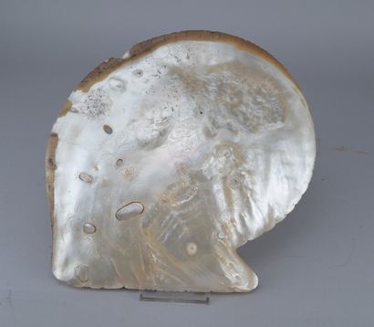 Carved mother-of-pearl shell, Canton, 19th...