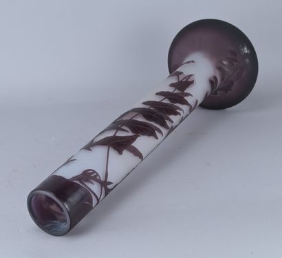 Gallé Art Nouveau Vase, after 1904

Large...