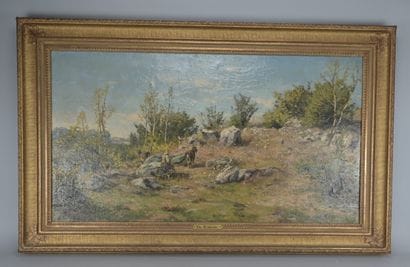 Théodore Baron (1840–1899), paysage rocheux

Huile...