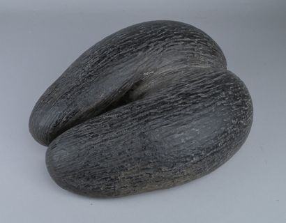Coco de mer des Seychelles

Grand fruit séché...
