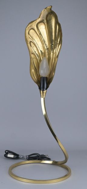 Rabarbaro Lamp by Carlo Giorgi – Bottega...