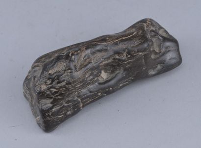 Petrified wood with a rich, aged patina

A...
