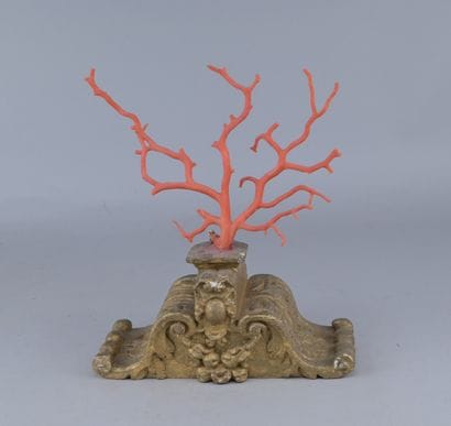 Mediterranean Red Coral on a Wooden Base

A...