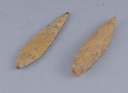 Two Prehistoric Flint Spearheads

Two spearheads...