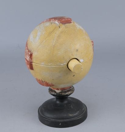 Anatomical Model of the Eye, circa 1900

An...