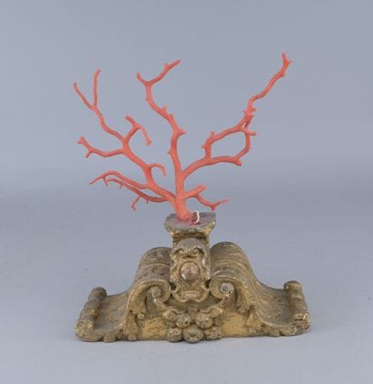 Mediterranean Red Coral on a Wooden Base

A...