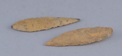 Two Prehistoric Flint Spearheads

Two spearheads...