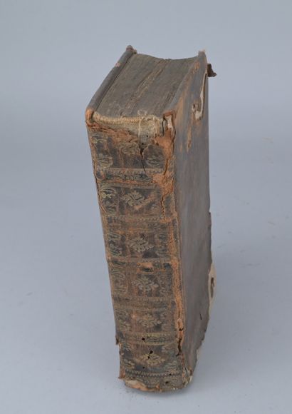 Palfin and Petit, Surgical Anatomy, 1753

A...