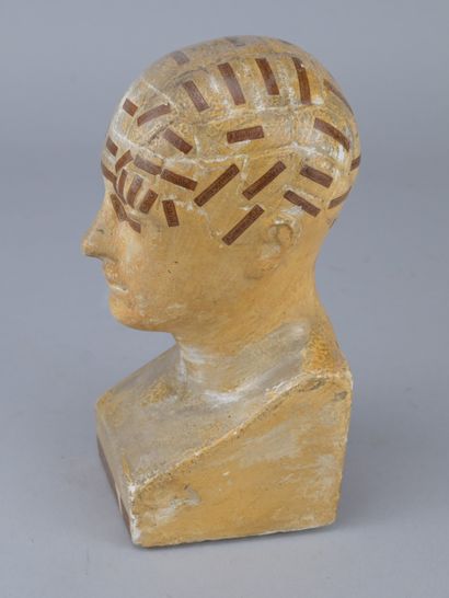 Educational phrenological plaster bust, early...