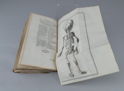 Palfin and Petit, Surgical Anatomy, 1753

A...