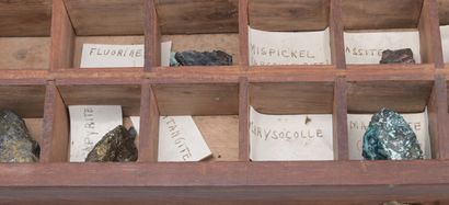 Mineralogical Collection Case, Early 20th...