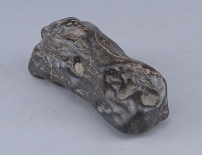 Petrified wood with a rich, aged patina

A...