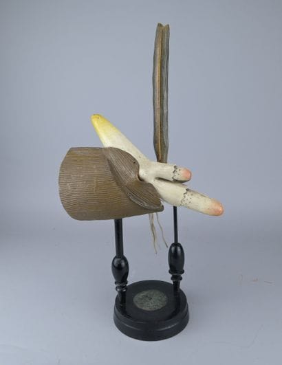 Brendel “Secale” Educational Botanical Model,...