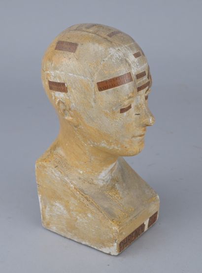 Educational phrenological plaster bust, early...