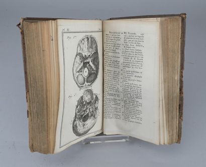 Palfin and Petit, Surgical Anatomy, 1753

A...