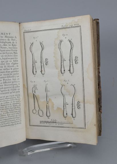 Palfin and Petit, Surgical Anatomy, 1753

A...