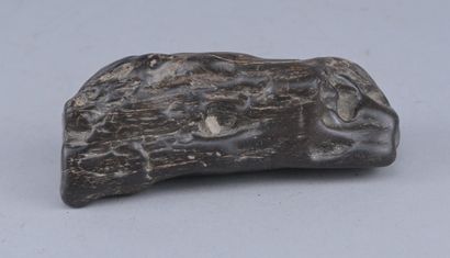 Petrified wood with a rich, aged patina

A...