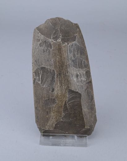 Prehistoric Chipped Stone Axe

An elongated...