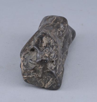 Petrified wood with a rich, aged patina

A...