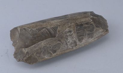 Prehistoric Chipped Stone Axe

An elongated...