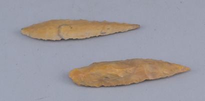 Two Prehistoric Flint Spearheads

Two spearheads...