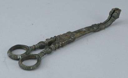 Bronze fire tongs, 17th century

Antique...