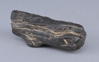 Petrified wood with a rich, aged patina

A...
