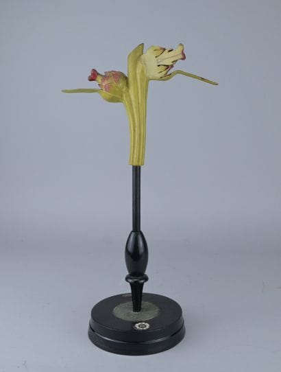 Brendel Educational Botanical Model “Trifolium,”...
