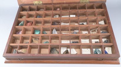 Mineralogical Collection Case, Early 20th...