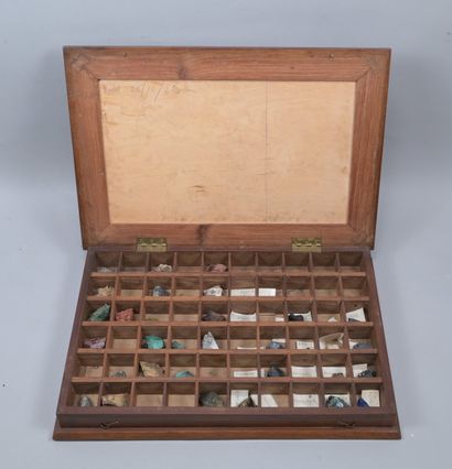 Mineralogical Collection Case, Early 20th...