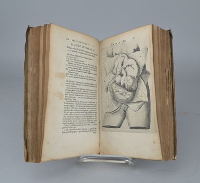 Thomas Bartholin, *Anatomia Reformata*, 1651

Early...