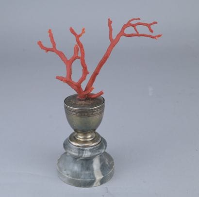 Red Coral on a Wolfers Silver Base

A branch...